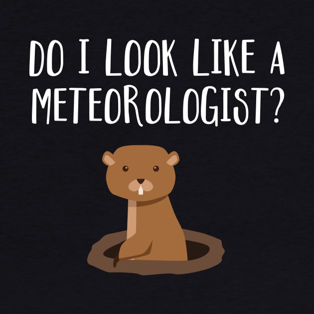 Do I Look Like A Meteorologist? Groundhog Day Funny by FlashMac